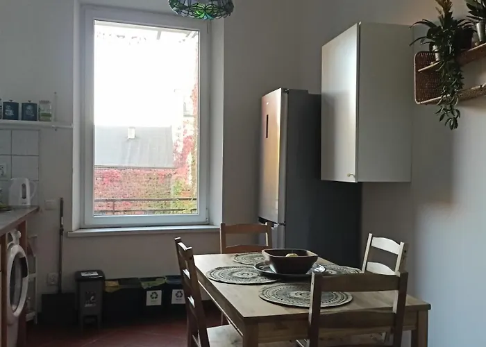 Plantyna Daire Krakow