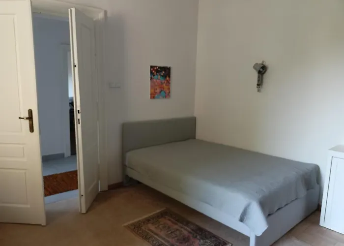 Plantyna Daire Krakow